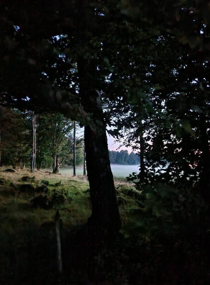 Månsken över dimmig landskap i Lidhult